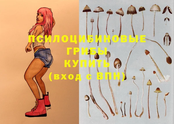 марихуана Белокуриха
